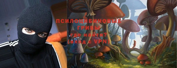 соль курить ск Бородино