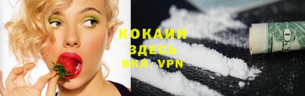соль курить ск Бородино