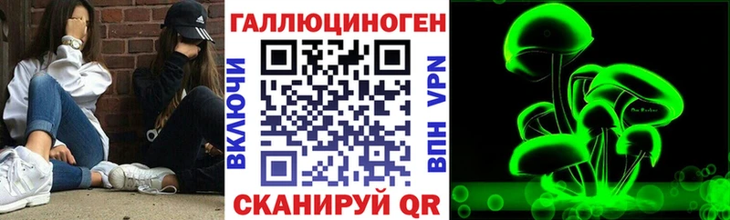 Галлюциногенные грибы мицелий Купить закладки Чернушка